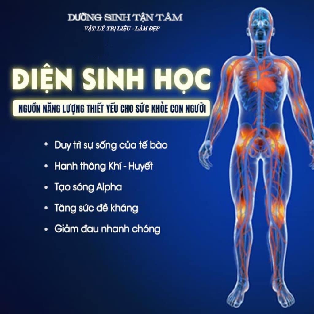 dien sinh hoc nguon nang luong thiet yeu cho suc khoe con nguoi